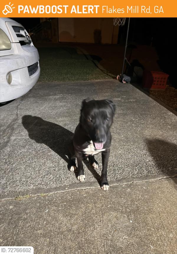 Found/Stray Male Dog last seen Chimney Ridge Subdivision , Flakes Mill Rd, GA 30294