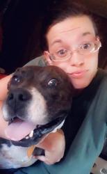 Lost Male Dog last seen Near Stevenson rd, Starr, SC 29684