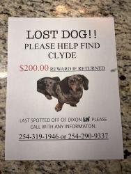 Lost Male Dog last seen Spotted off Dixon Ln , Lorena, TX 76655
