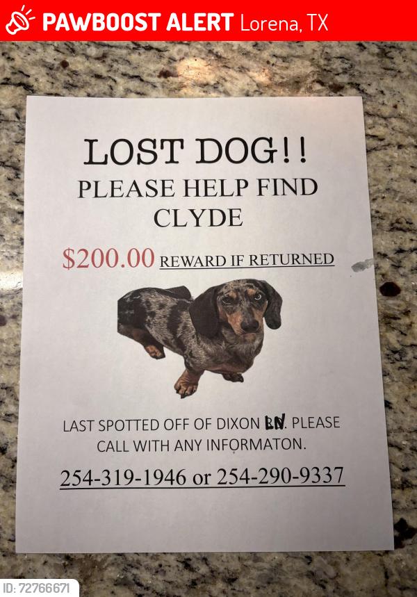 Lost Male Dog last seen Spotted off Dixon Ln , Lorena, TX 76655