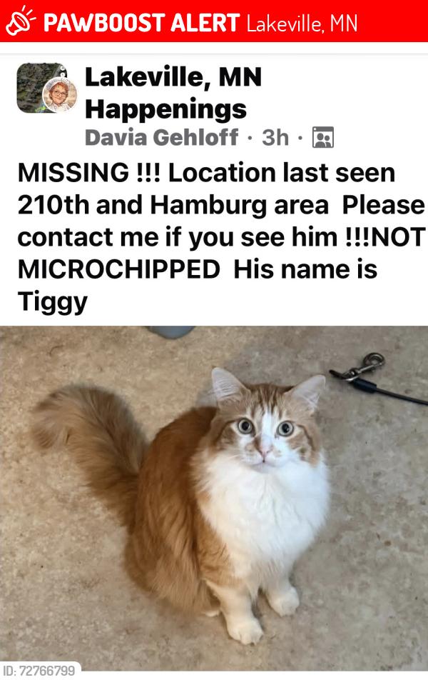 Lost Male Cat last seen 210th street and Hamburg, Lakeville, MN 55024