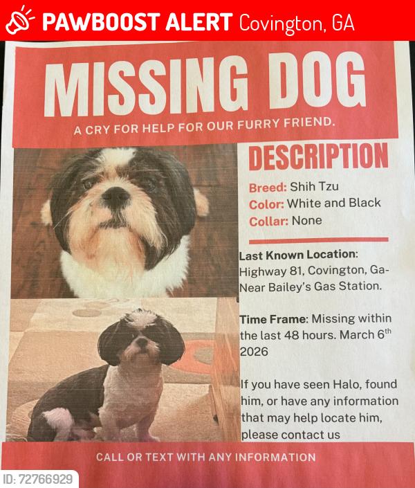 Lost Male Dog last seen Salem rd, hwy 81 and hwy 162, Covington, GA 30014