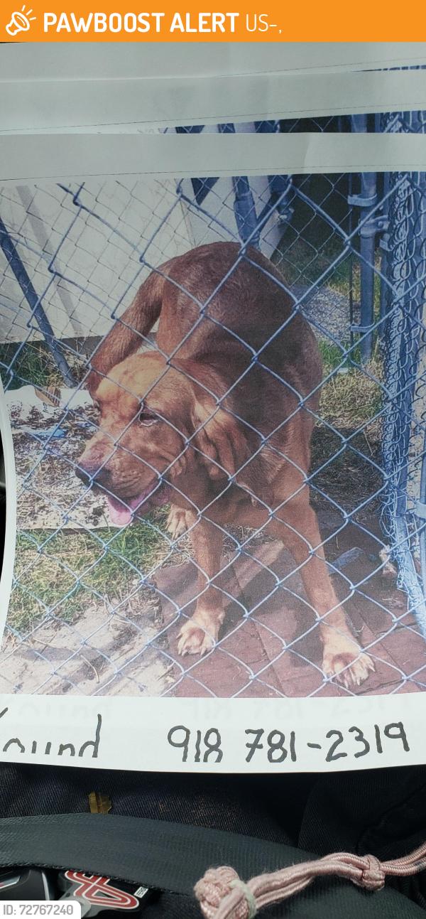 Found/Stray Unknown Dog last seen 80th porter ok, US-69,  74343