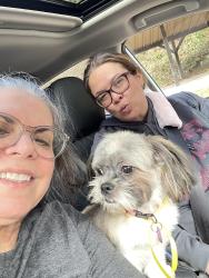Lost Female Dog last seen Lauren in coosawati, Ellijay, GA 30540