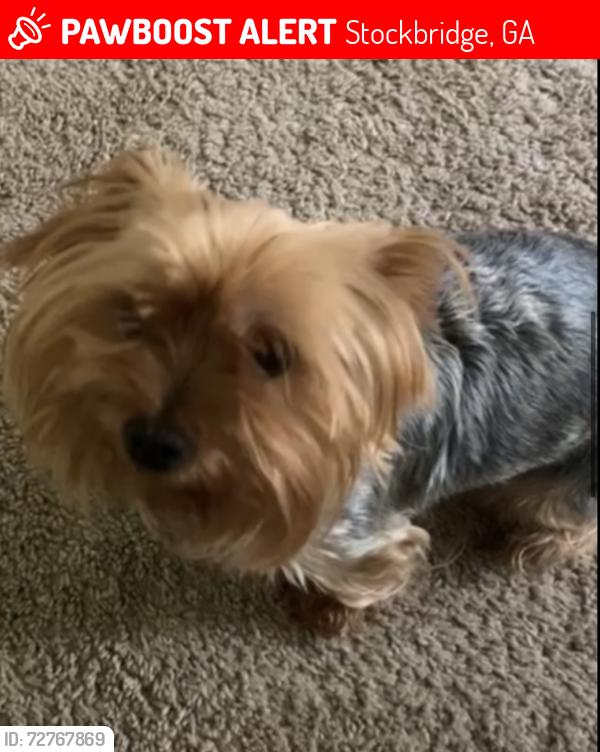 Lost Female Dog last seen Brentwood parkway , Stockbridge, GA 30281