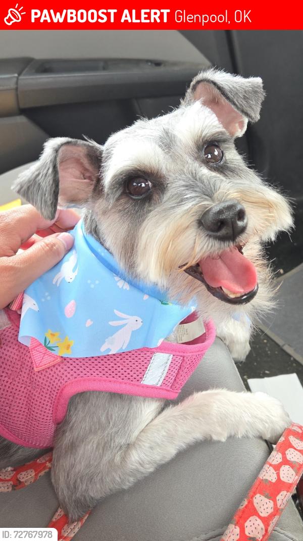 Lost Female Dog last seen 141st Glenpool , Glenpool, OK 74033