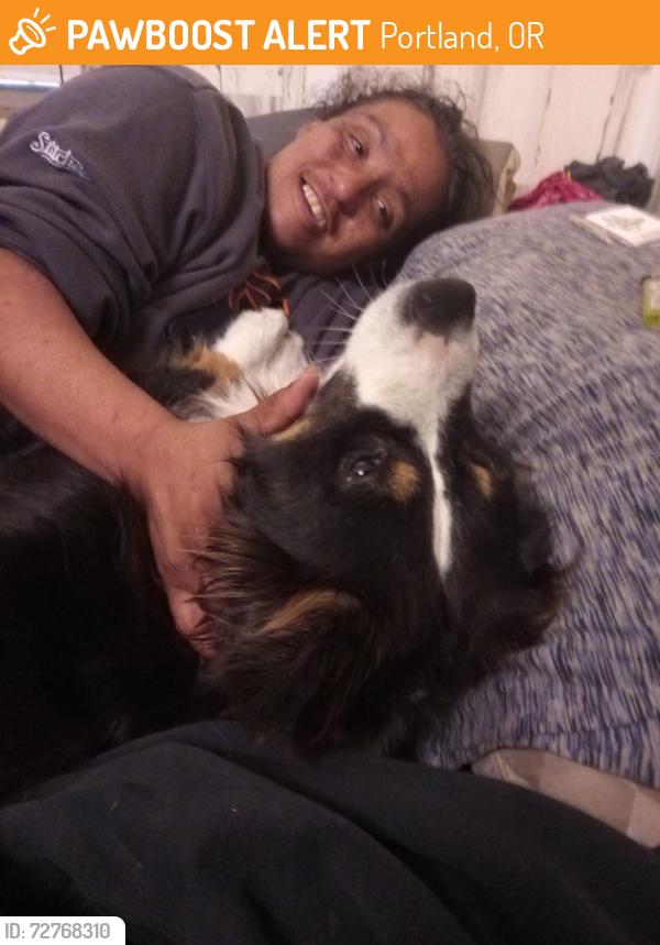 Found/Stray Female Dog last seen Gresham, Portland, OR 97209