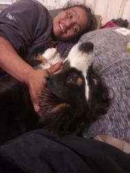 Found/Stray Female Dog last seen Gresham, Portland, OR 97209