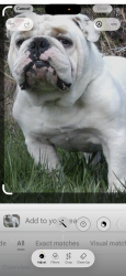 Lost Male Dog last seen McCausland & arsenal , St. Louis, MO 63143