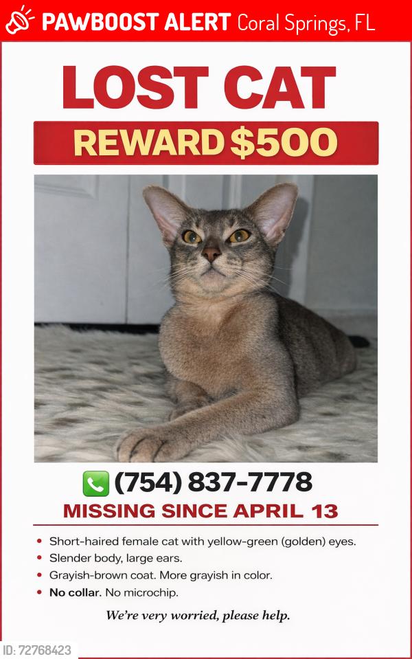 Lost Female Cat last seen Near  8519 Remblewood DR 33071 , Coral Springs, FL 33071