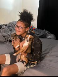 Lost Male Dog last seen Near greenback lane, Citrus Heights, CA 95621