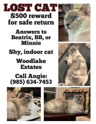 Lost Female Cat last seen Woodlake ests / Coburn Road, Hammond, LA 70403