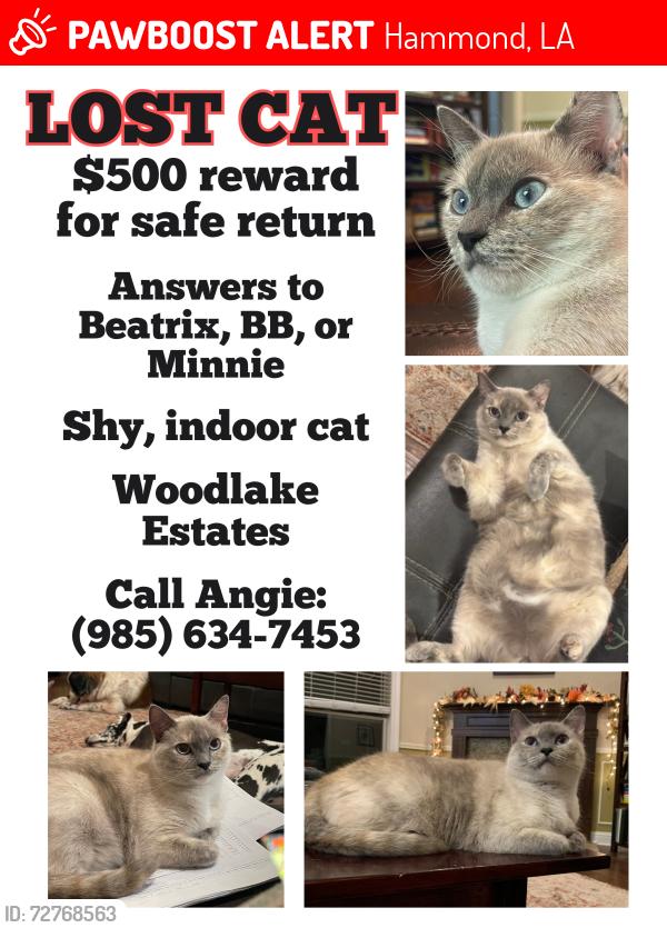Lost Female Cat last seen Woodlake ests / Coburn Road, Hammond, LA 70403