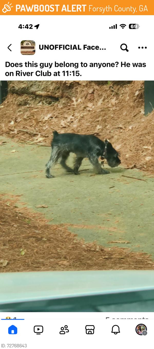 Found/Stray Unknown Dog last seen Chatahoochee River Club, Forsyth County, GA 30041