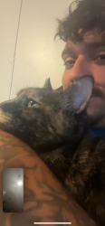 Lost Female Cat last seen Griswoldville rd, Macon, GA 31217