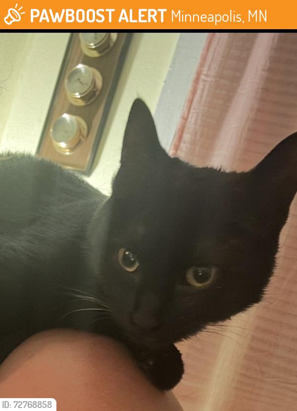 Found/Stray Unknown Cat last seen Buchanan & broadway , Minneapolis, MN 55418