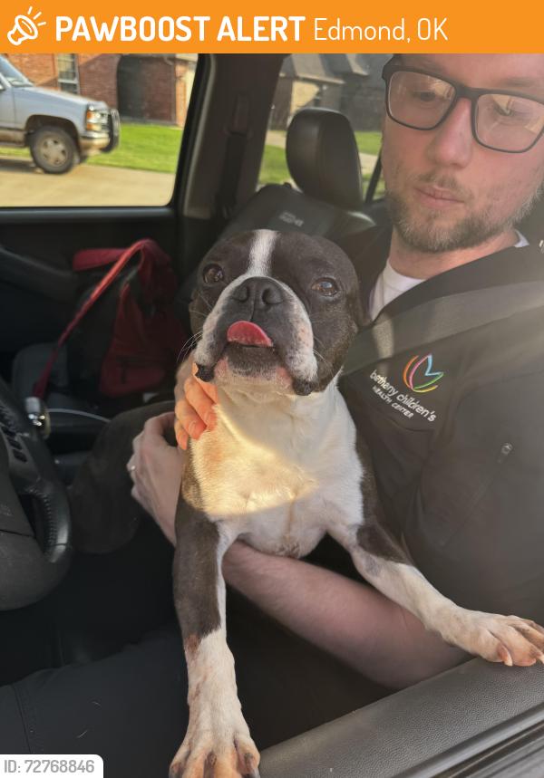 Found/Stray Male Dog last seen 192nd & Penn, Edmond, OK 73012