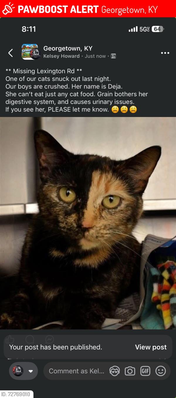 Lost Female Cat last seen Heade of tractor, Georgetown, KY 40324