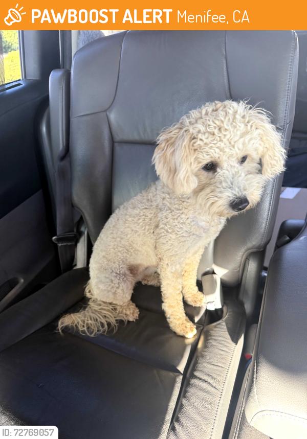 Found/Stray Unknown Dog last seen Leon rd and wickerd rd, Menifee, CA 92584