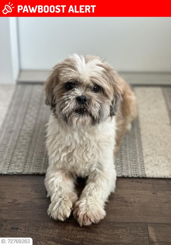 Lost Male Dog last seen Bosse Road, Washington County, TX 77880