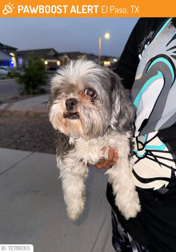 Found/Stray Female Dog last seen Tierra fortaleza , El Paso, TX 79938