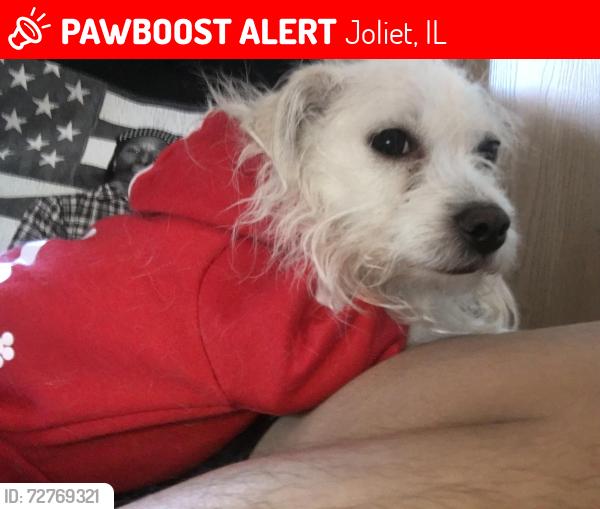 Lost Female Dog last seen Joliet Spanish Center, Joliet, IL 60433