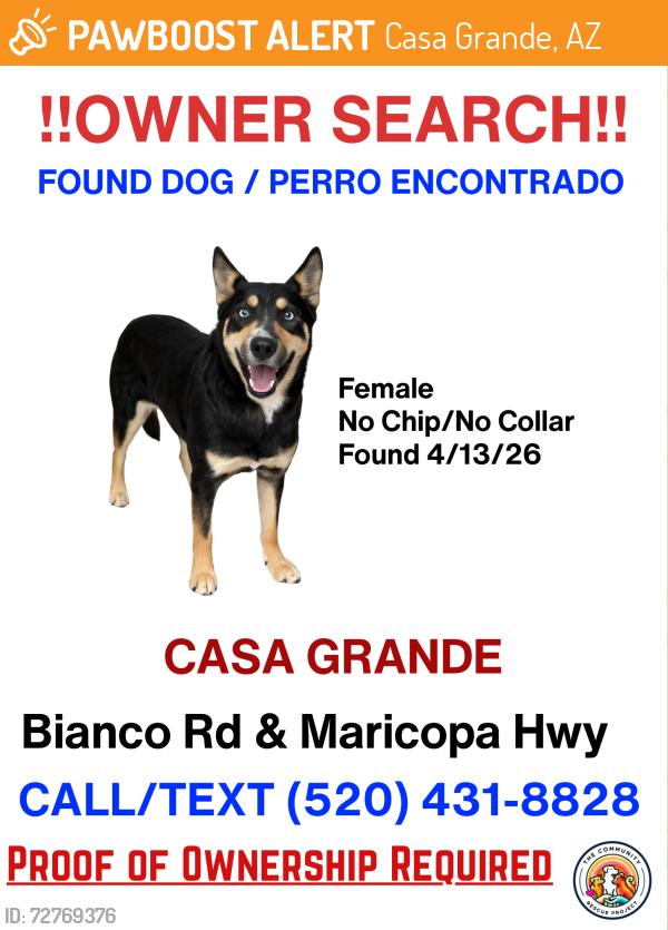 Found/Stray Female Dog last seen Bianco and maricopa casa grande highway, Casa Grande, AZ 85193
