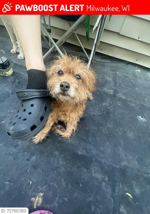 Lost Female Dog last seen 26th and Hadley , Milwaukee, WI 53212
