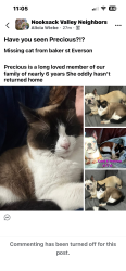 Lost Female Cat last seen Baker Street & Shuksan Way across from Everson market , Everson, WA 98247