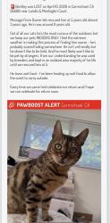 Lost Male Cat last seen California Ave. , Carmichael, CA 95608