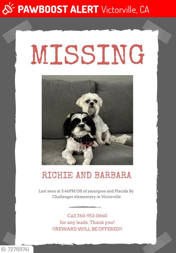 Lost Male Dog last seen amaragosa road, Victorville, CA 92394