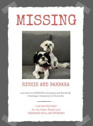 Lost Male Dog last seen amaragosa road, Victorville, CA 92394
