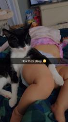 Lost Male Cat last seen 55th and st clair, Cleveland, OH 44103