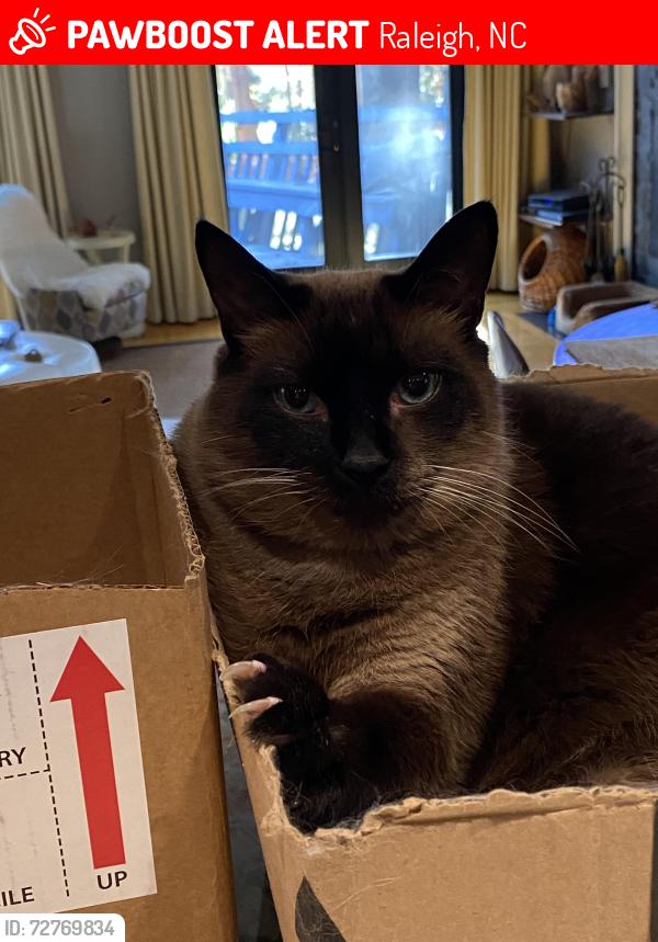 Lost Male Cat last seen Caber and wood valley drive, Raleigh, NC 27613