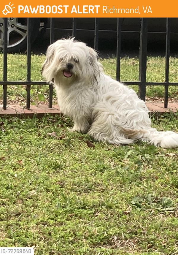 Found/Stray Male Dog last seen 23rd and X st, Richmond, VA 23223