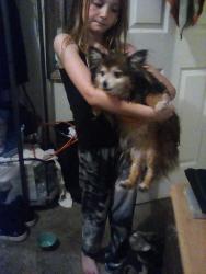 Found/Stray Female Dog last seen Michigan and Franklin, Evansville, IN 47711
