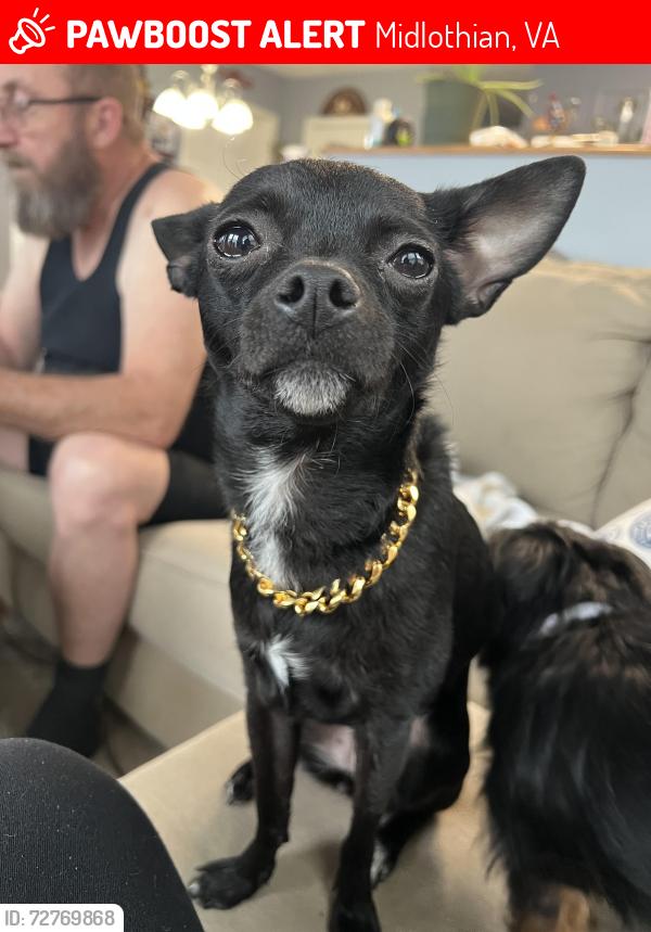 Lost Female Dog last seen Commonwealth Center Parkway, Midlothian, VA 23112