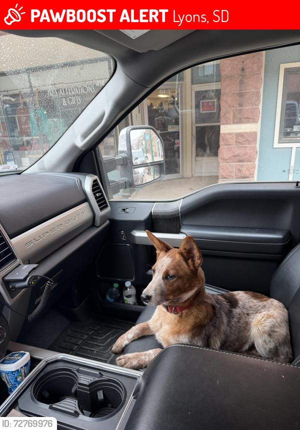 Lost Male Dog last seen Benson Equestrian Center, Lyons, SD 57041