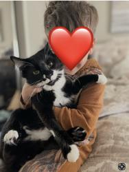 Lost Male Cat last seen Blessinger & state, Star, ID 83669