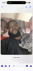 Lost Male Dog last seen Pratt and summerdale, Philadelphia, PA 19124
