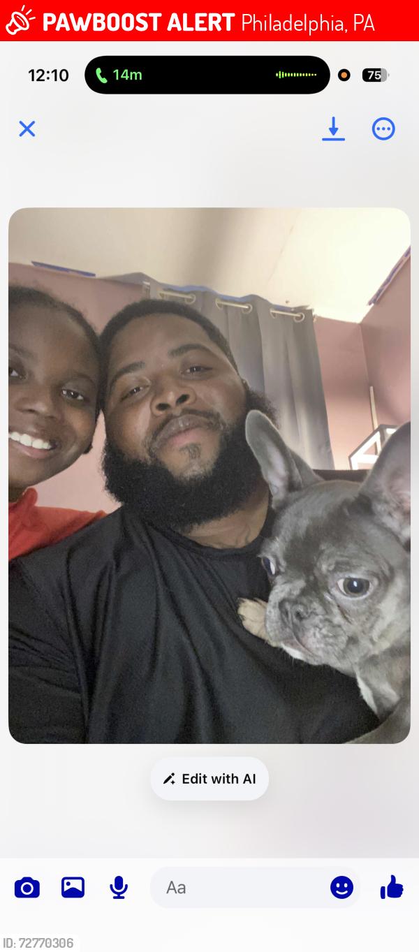 Lost Male Dog last seen Pratt and summerdale, Philadelphia, PA 19124