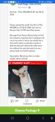 Lost Female Dog last seen Hwy 80, Bossier City, LA 71111