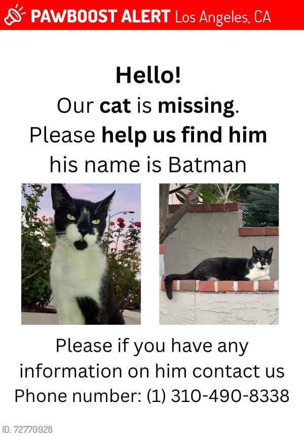 Lost Male Cat last seen park western elementary , Los Angeles, CA 90732
