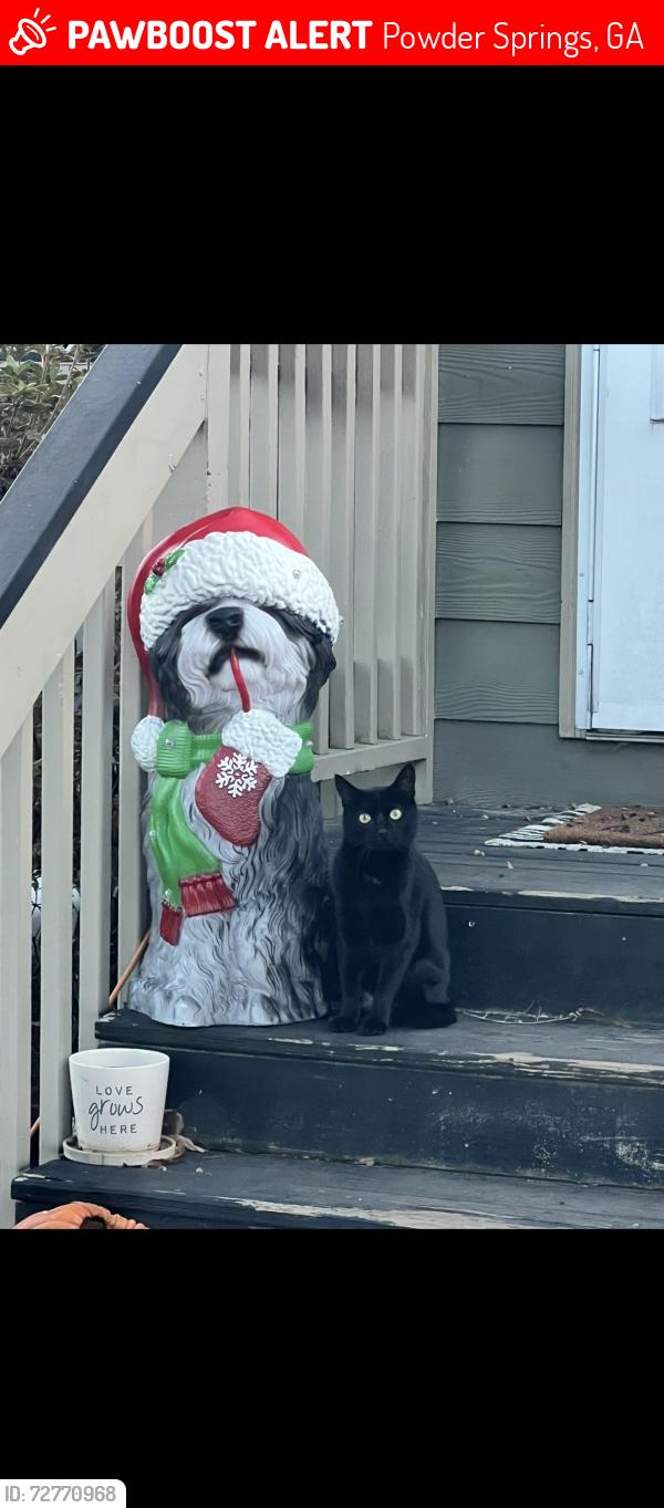 Lost Male Cat last seen  , Powder Springs, GA 30127
