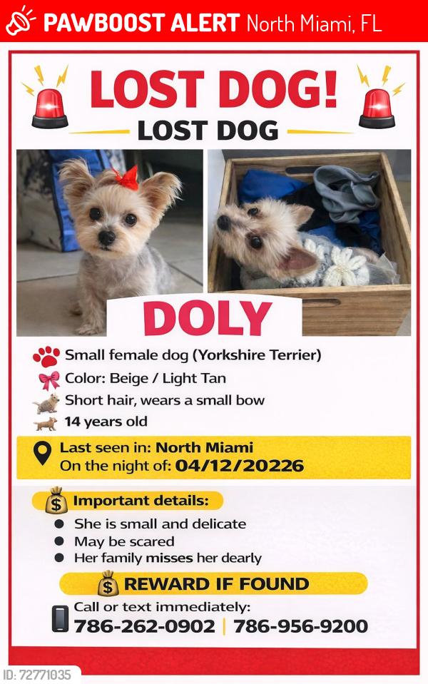Lost Female Dog last seen North miami, North Miami, FL 33161