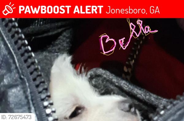 Lost Female Dog last seen by city hall and park in jonesboro, Jonesboro, GA 30236