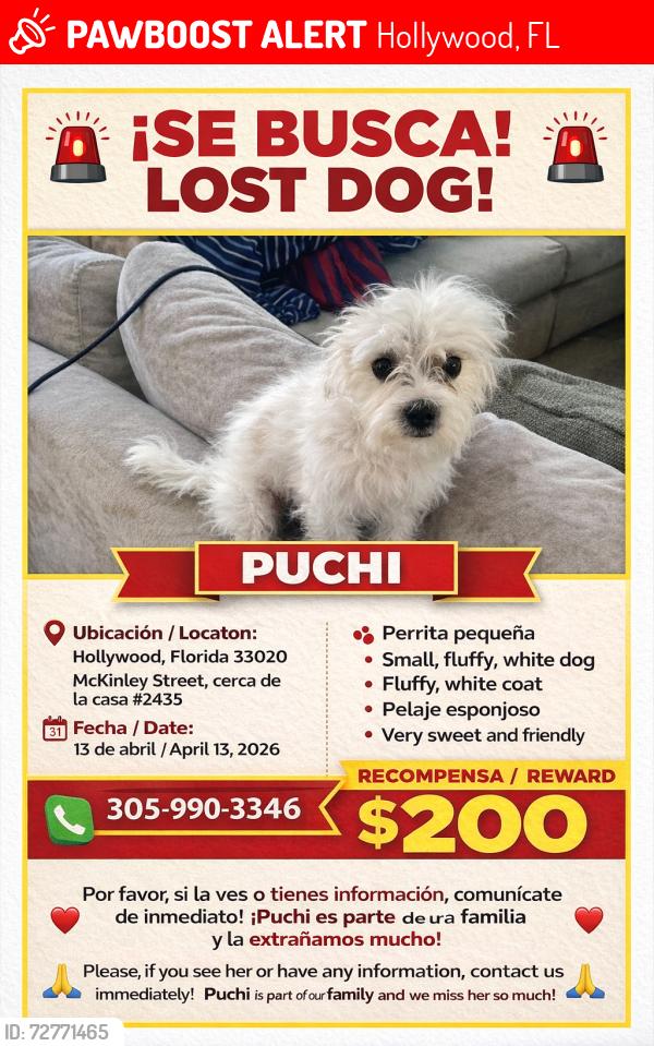 Lost Female Other last seen  Vivo cerca , Hollywood, FL 33020