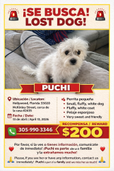 Lost Female Other last seen  Vivo cerca , Hollywood, FL 33020