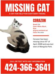 Lost Female Cat last seen Orangewood Ave & Magnolia St Garden Grove, CA 92841, Garden Grove, CA 92841