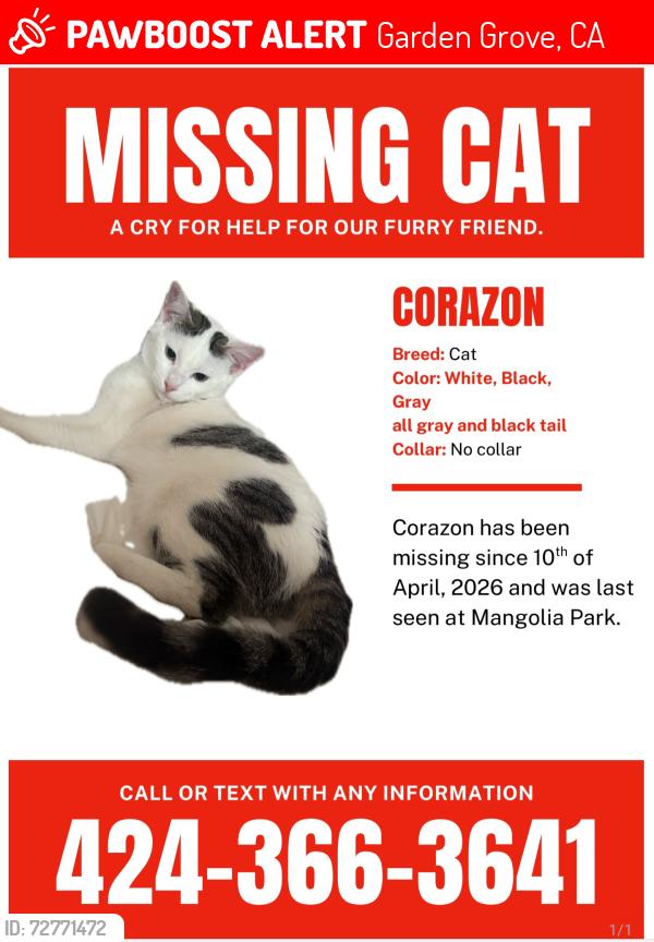 Lost Female Cat last seen Orangewood Ave & Magnolia St Garden Grove, CA 92841, Garden Grove, CA 92841
